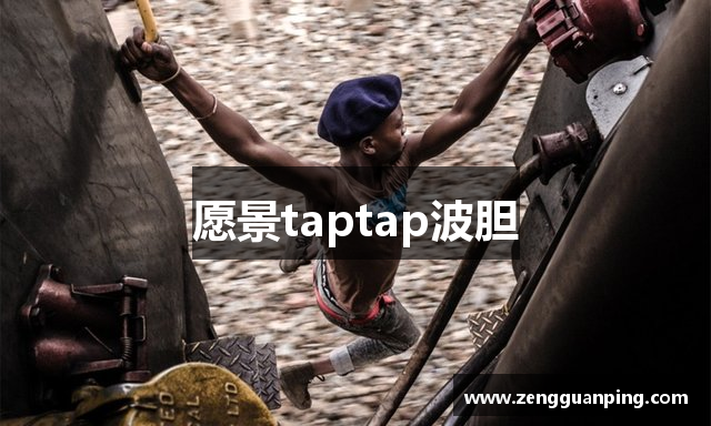 愿景taptap波胆